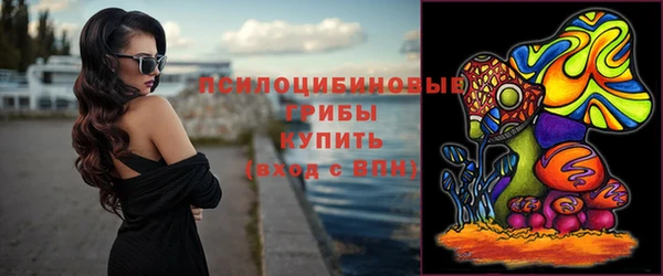индика Балахна