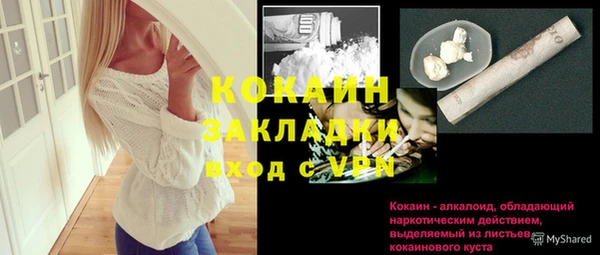 индика Балахна