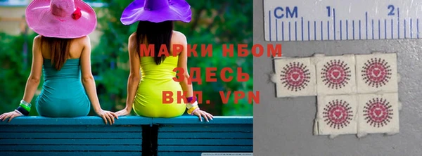индика Балахна