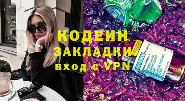 индика Балахна