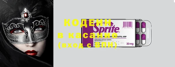 индика Балахна