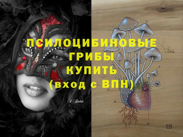 индика Балахна