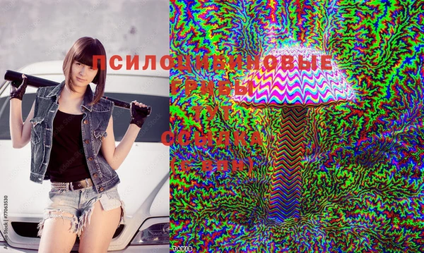 индика Балахна