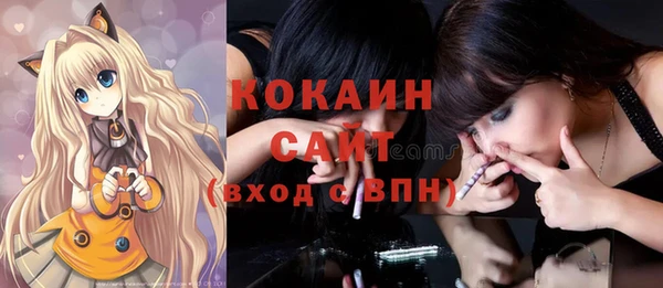 индика Балахна